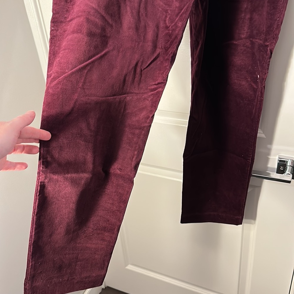 Velvet Pixie Pants - Picture 5 of 6